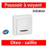 POUSSOIR LUMINEUX SAILLAIE